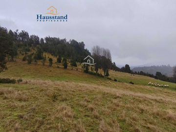 Parcela en venta  en OSORNO