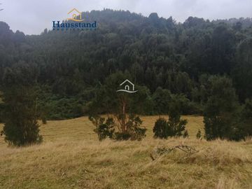 Parcela en venta  en OSORNO