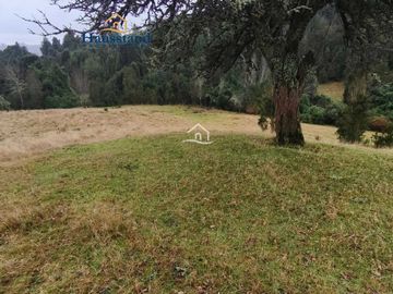 Parcela en venta  en OSORNO