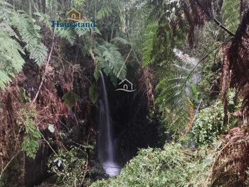 Parcela en venta  en OSORNO