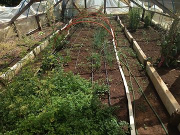 Parcela en venta  en OSORNO