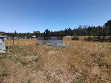 Parcela en venta  en OSORNO