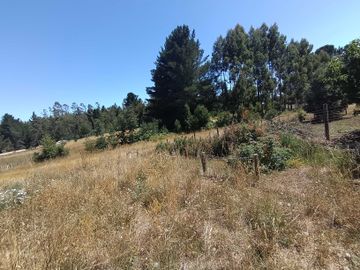Parcela en venta  en OSORNO