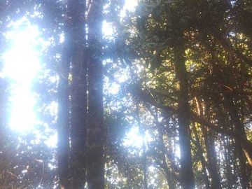 Parcela en venta  en PUYEHUE