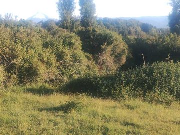 Parcela en venta  en PUYEHUE
