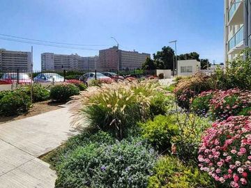 Departamento en arriendo  en LA SERENA