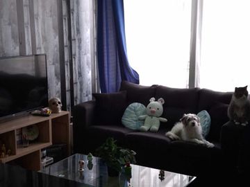 Departamento en venta  en MACUL
