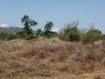 TERRENO,VENTA , Agua Dulce, Zihuatanejo, Guerrero