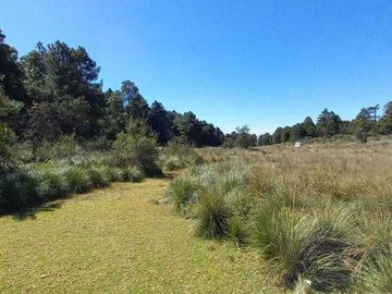 TERRENO, Salázar, San Miguel Ameyalco, Lerma, Estado de Mexico.