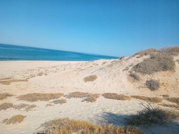 Terreno en venta con playa en Los Torotes, El Cardonal, La Paz, B.C.S., México.