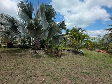Terreno campestre, El Carrizal