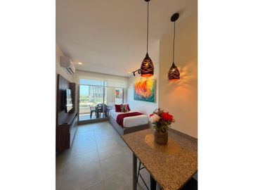 Apartamento amoblado turístico 040