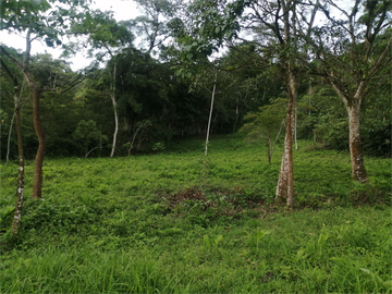 LOTE EL MANANTIAL VENTA SASAIMA