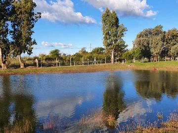 Venta Terreno 563 m2 Pilar Del Este Santa Emilia