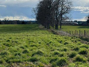 Parcela en venta  en PUERTO VARAS