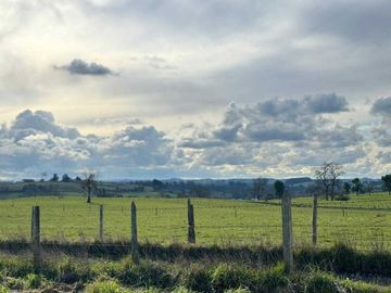Parcela en venta  en PUERTO VARAS