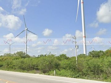 Chicxulub Puerto