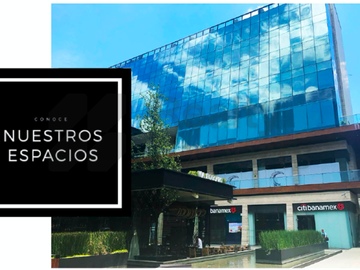 Locales en Renta en Plaza Chroma San Pedro Garza García