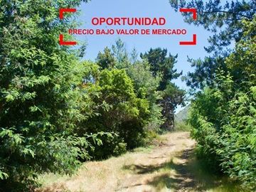 GRAN OPORTUNIDAD!!! … Precio bajo valor de mercado
