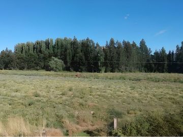Terreno 10 ha a 700 mt cruce Colbun - Corralones.