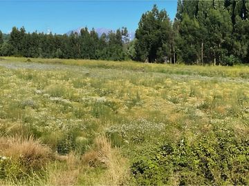 Terreno 10 ha a 700 mt cruce Colbun - Corralones.
