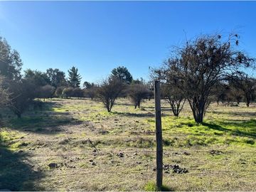 VENDE TERRENO 5000 M2 LOTEO CAUPOLICAN - PENCAHUE