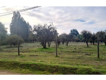 VENDE TERRENO 5000 M2 LOTEO CAUPOLICAN - PENCAHUE