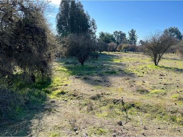 VENDE TERRENO 5000 M2 LOTEO CAUPOLICAN - PENCAHUE