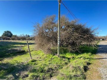 VENDE TERRENO 5000 M2 LOTEO CAUPOLICAN - PENCAHUE