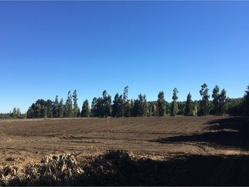 Gran Oportunidad: Campo agrícola en Los Ángeles