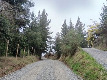 Tu refugio en el campo: Casa con entorno natural