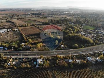 Se vende 20,2 Ha Santa Maria Huilquilemu Talca