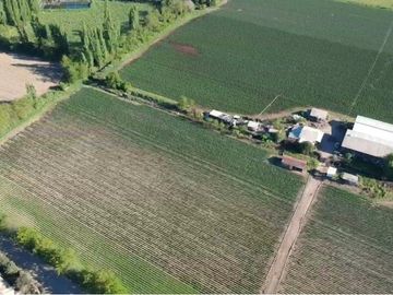 SE VENDE TERRENO 10 HA URBANO EN SAN JAVIER