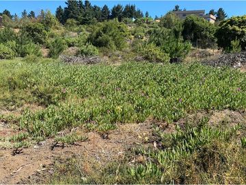 TERRENO 1.500m² Alta plusvalía en Reñaca Los Pinos
