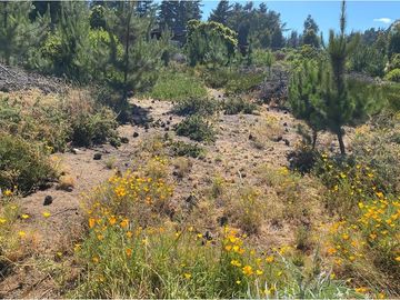TERRENO 1.500m² Alta plusvalía en Reñaca Los Pinos