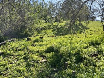 Venta Parcela en Villa Alemana, Quebrada escobar