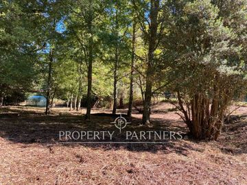 Parcela en Venta | Orilla Río Liucura – Carilefu, Sector Huife, Pucón