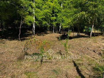 Parcela en Venta | Orilla Río Liucura – Carilefu, Sector Huife, Pucón