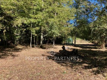 Parcela en Venta | Orilla Río Liucura – Carilefu, Sector Huife, Pucón