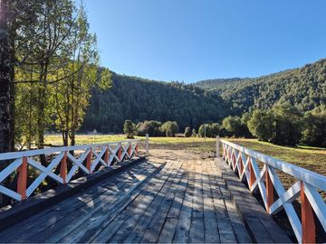 CAMPO-BOSQUE NATIVO 253 HECTAREAS CHILOE