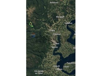 CAMPO-BOSQUE NATIVO 253 HECTAREAS CHILOE