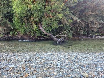 CAMPO-BOSQUE NATIVO 253 HECTAREAS CHILOE
