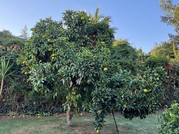 CASA RODEADA DE NATURALEZA