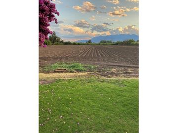 Terreno Agricola y comercial en Paine!