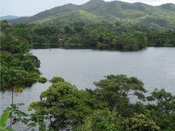 🌅 OPORTUNIDAD DE INVERSIÓN FRENTE AL LAGO ALAJUELA 🇵🇦