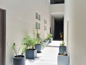 DEPARTAMENTO  AMUEBLADO EN MONTEJO PLAZA AL NORTE DE MERIDA
