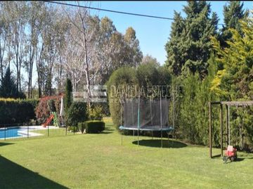 D. Esteche realty