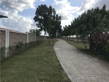 CHORRERA / ARBOLEDAS / LOS PINOS / 3 HABITACIONES / 180 M2 / TERRAZA