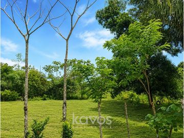 EN VENTA - TERRENO CON POTENCIAL - CHORRERA