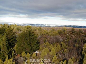 CAMPO DE 8 HECTÁREAS - COSTA LAGO LEZAMA - CHOLILA
